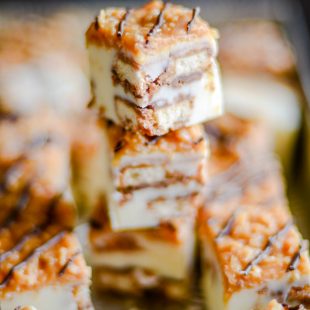 Creamy vanilla fudge with giant chunks of Samoas cookies with a caramel coconut topping and a drizzle of chocolate.
