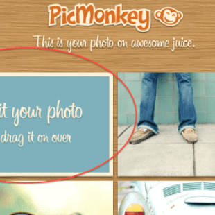How to Make a Collage in Picmonkey