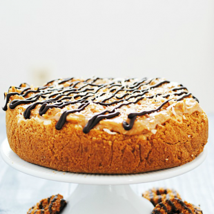 Samoas Cheesecake | www.somethingswanky.com
