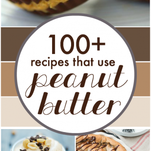 100+ Recipes that use Peanut Butter | www.somethingswanky.com