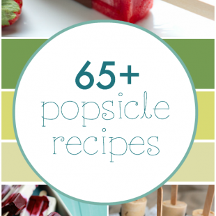 65+ Popsicle Recipes | www.somethingswanky.com
