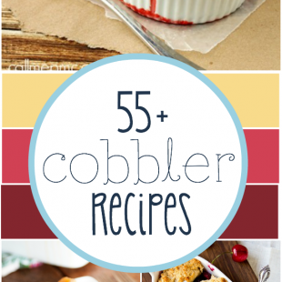 55+ Cobbler Recipes | www.somethingswanky.com