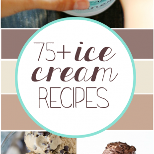 75+ Ice Cream Recipes | www.somethingswanky.com