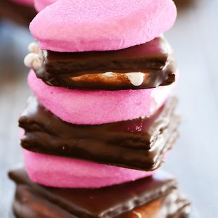 The only thing better than s'mores are s'mores that you can pack up and take with you on-the-go. Plus, super cute for Valentine's Day :)