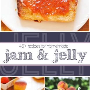 45+ Recipes for Homemade Jam & Jelly