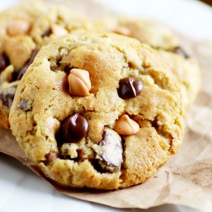 Chocolate Chip Oatmeal Scotchies