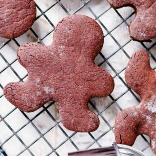 Cut-Out Chocolate Sugar Cookies Recipe