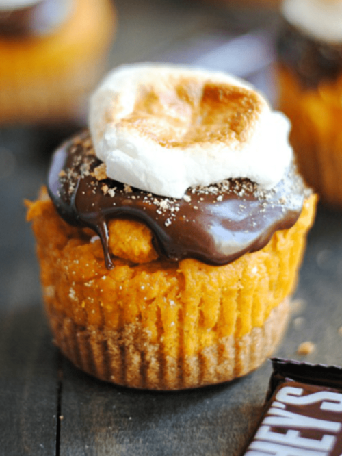 S'mores Pumpkin Cupcake Recipe