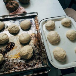 bread rising with substitutions for yeast